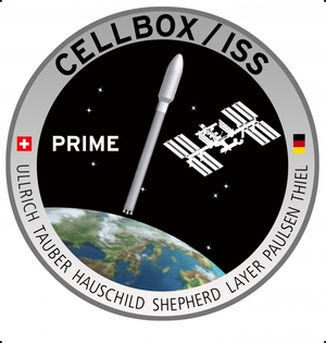 Bild zur Meldung